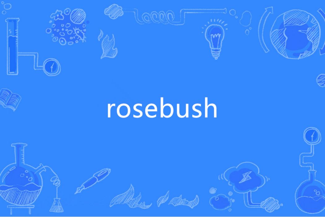 Rosebush(英語單詞)