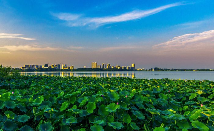 遺愛湖國家濕地公園