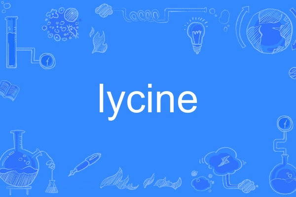 lycine