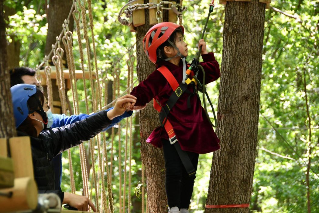 楓樹灣叢林冒險樂園