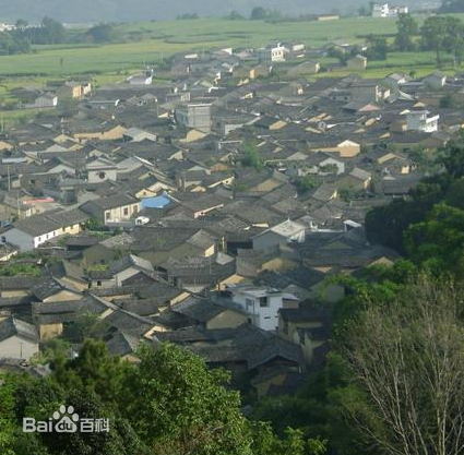 期登村(雲南省蘭坪白族普米族自治縣中排鄉下轄村)