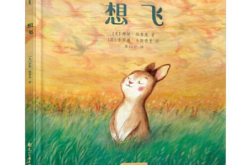 想飛(2018年花山文藝出版社出版的圖書)