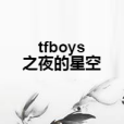 tfboys之夜的星空