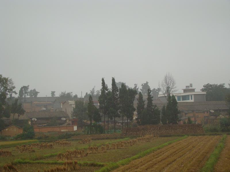 陸家莊村(雲南省曲靖市馬龍縣通泉鎮下轄村)