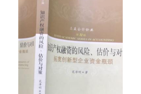 智慧財產權融資的風險、估價與對策：拓寬創新型企業資金瓶頸