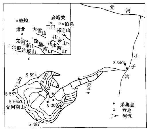 黨河南山扎子溝29號冰川