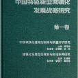 中國特色新型城鎮化發展戰略研究