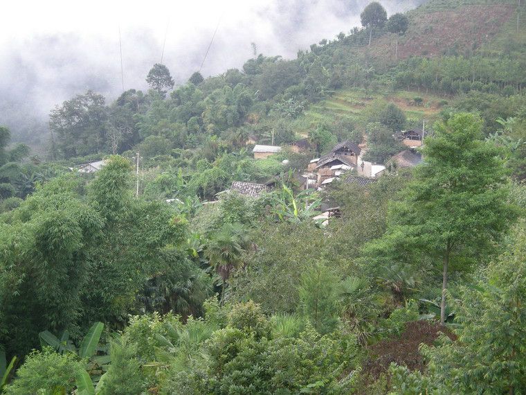 刺竹林村(剌竹林村)