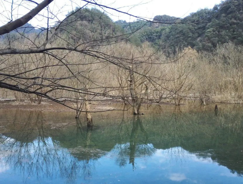 浙江五泄國家森林公園