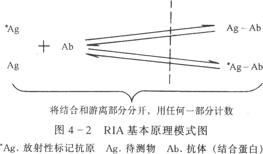 免疫測定法