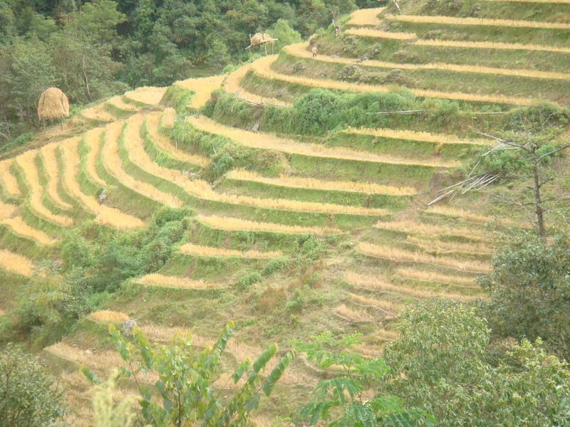 岩帥大寨自然村