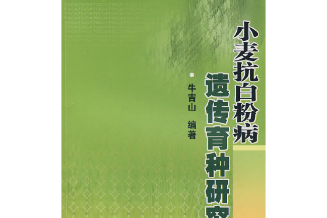 小麥白粉病遺傳育種研究