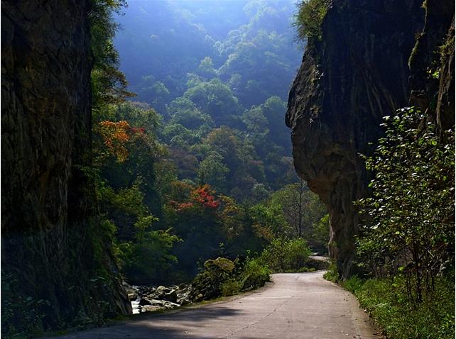 陝西太白山國家森林公園