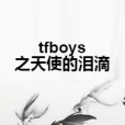 tfboys之天使的淚滴