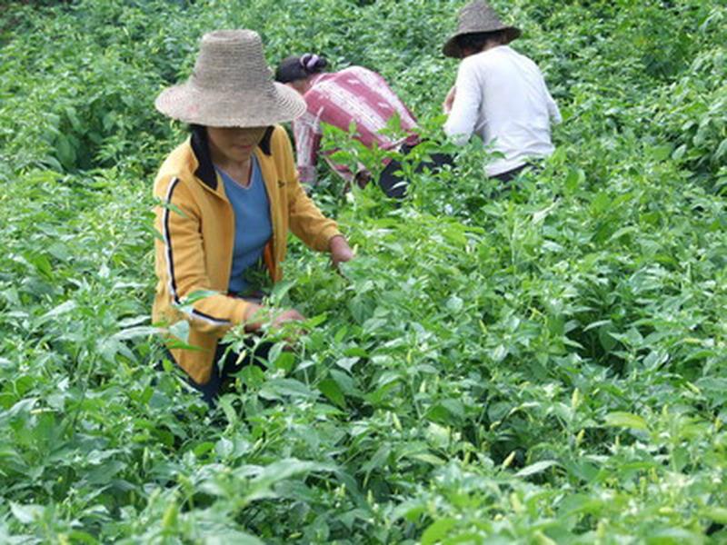 阿魯自然村