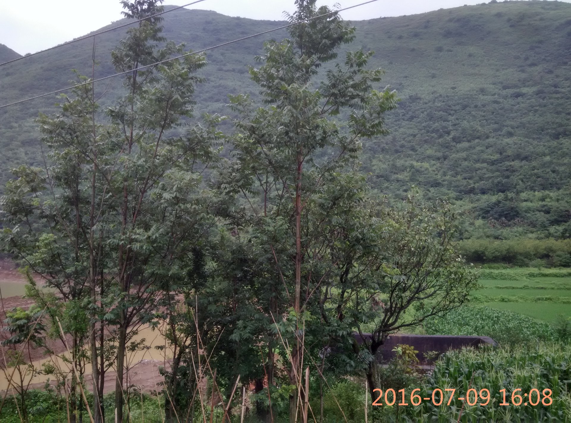 雨山村