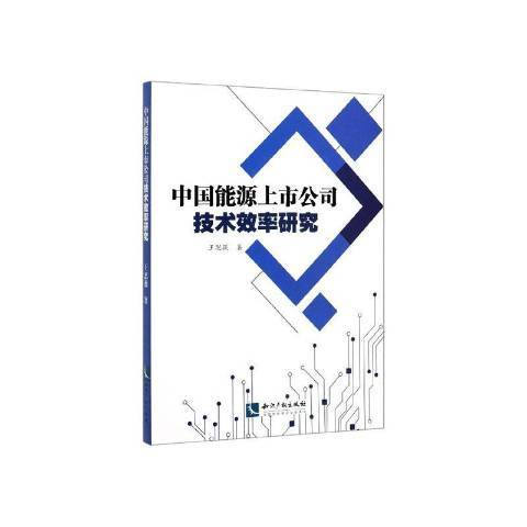 中國能源上市公司技術效率研究