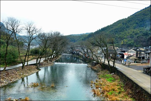 中村村(山西省晉城市澤州縣下村鎮下轄村)