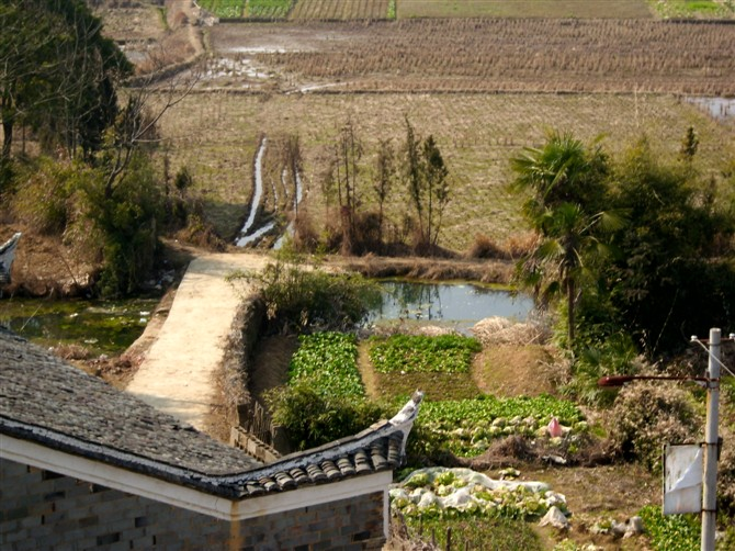 南橋村(鄱陽縣古縣渡鎮南橋村)