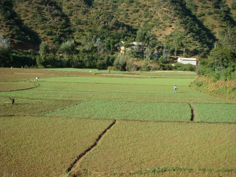 山坡與田野