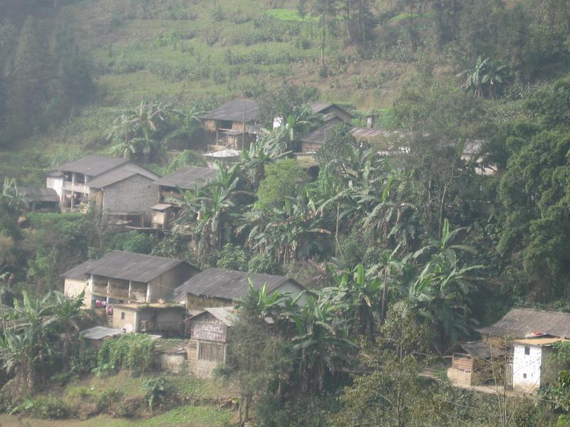 陳家寨村(雲南省元陽縣小新街鄉小新街村委會陳家寨村)