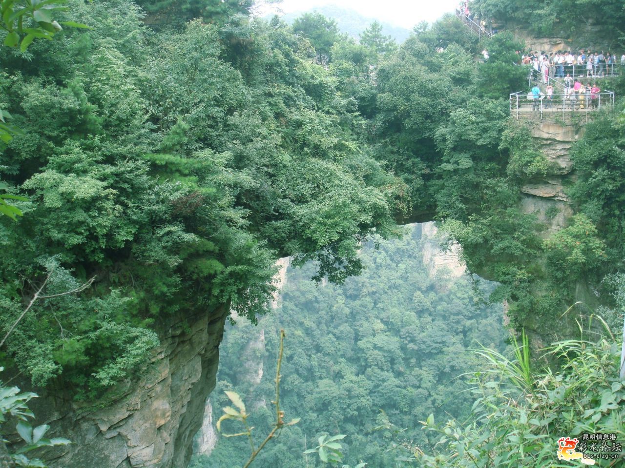 張家界旅遊跟團網