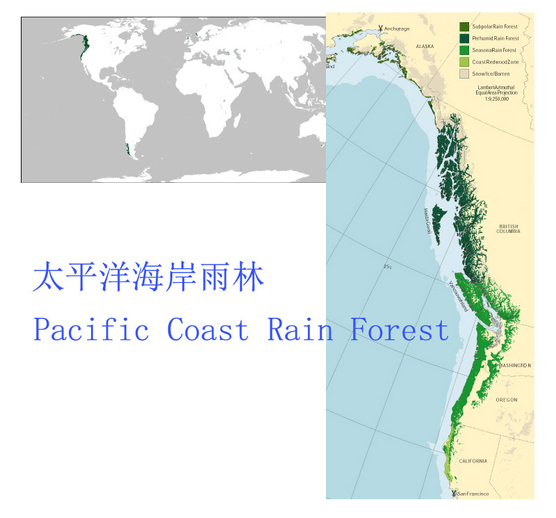 太平洋海岸雨林分布區域