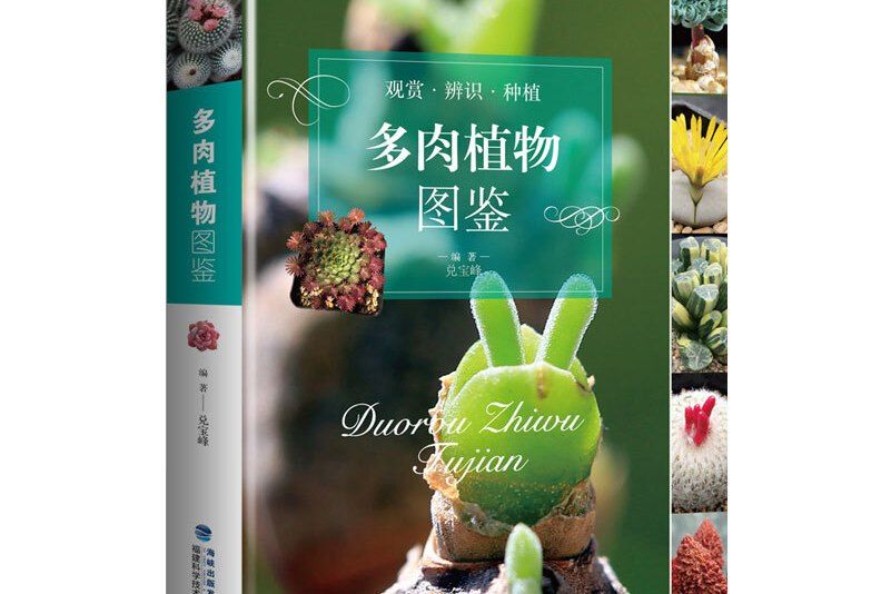 多肉植物圖鑑(2019年福建科學技術出版社出版的圖書)