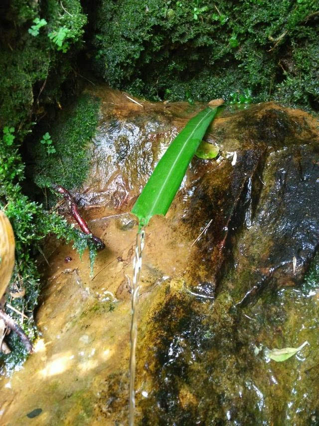 卓錫泉(安徽天柱山泉水名)