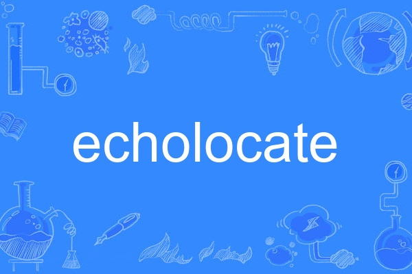 echolocate