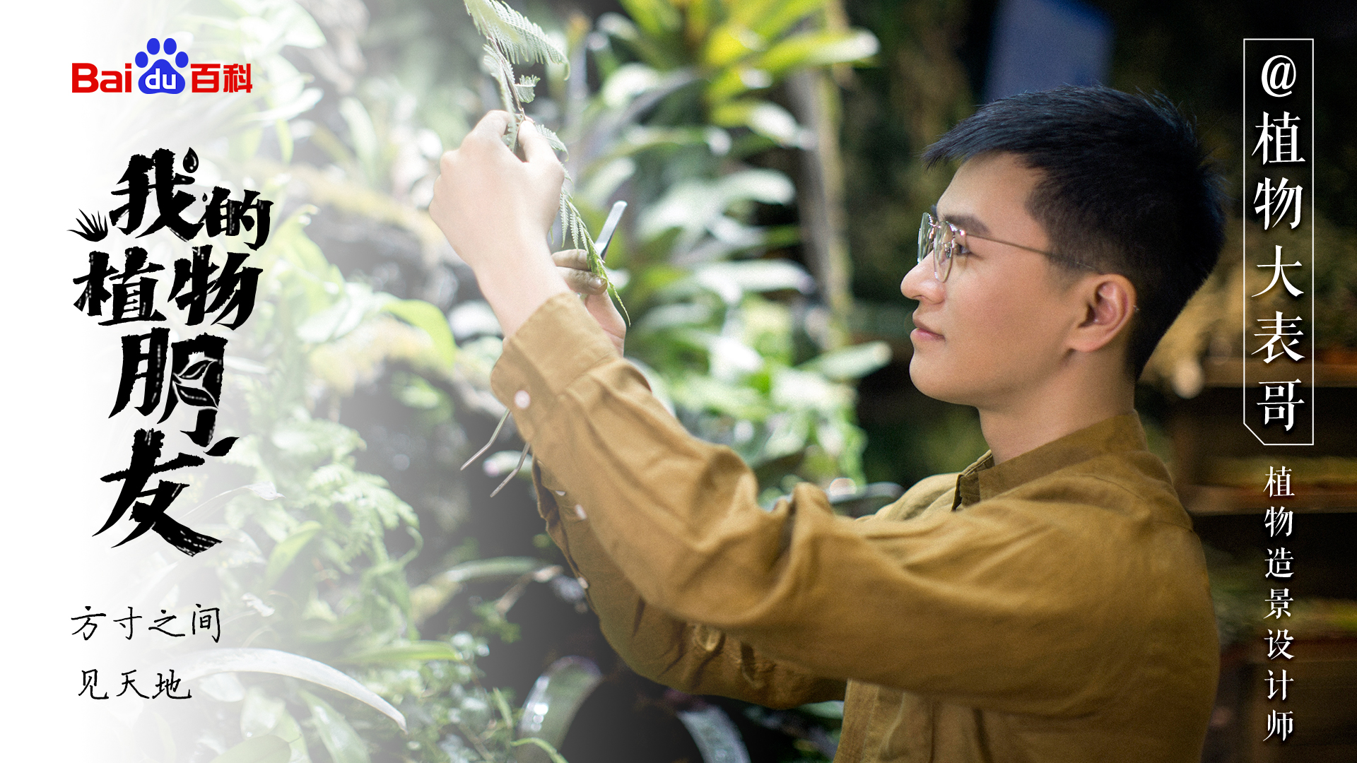 我的植物朋友