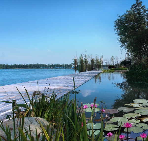 生態藝術公園