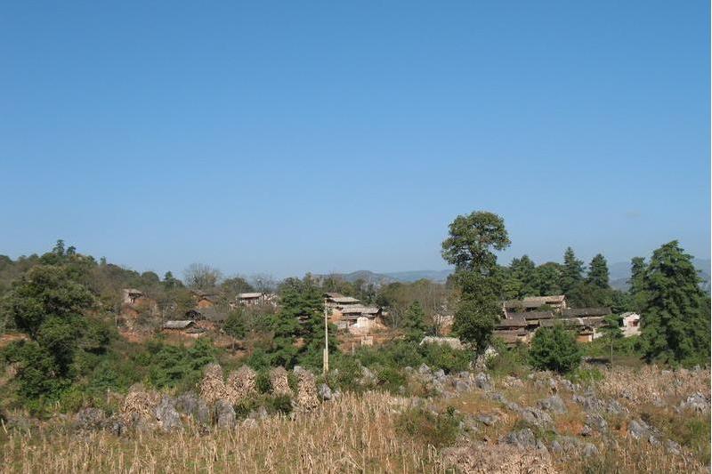 馬家寨村(河北安新縣端村鎮下轄村)