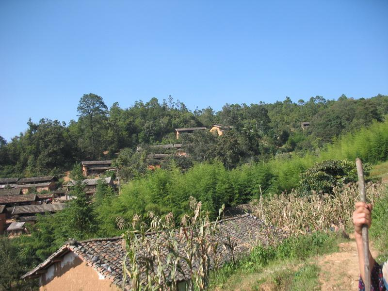 丫口村(景洪市景訥鄉賀孔村委會丫口村)