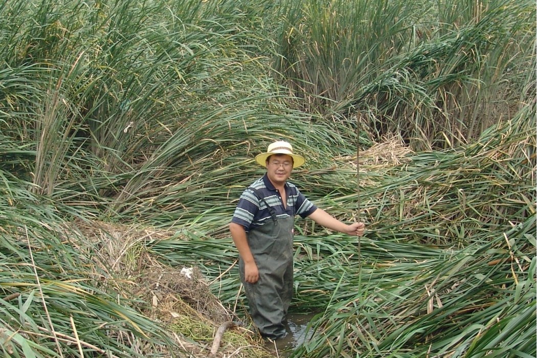 王立志(臨沂大學副教授)