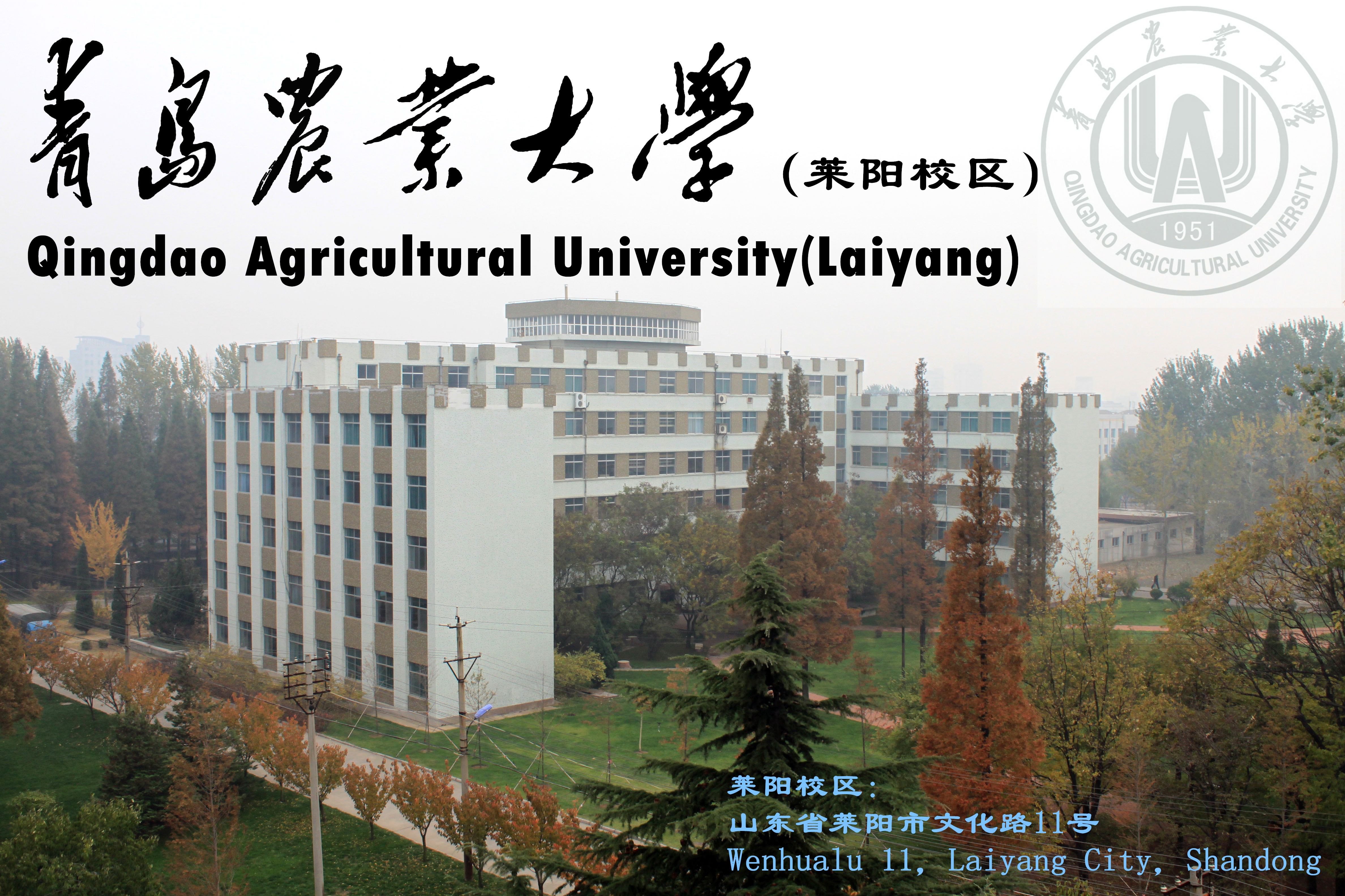 青島農業大學海都學院