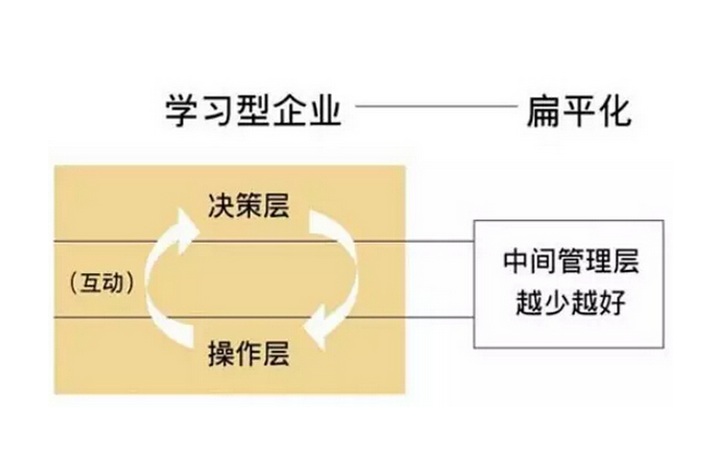 扁平化管理模式