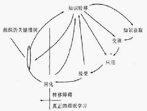 分析性組織