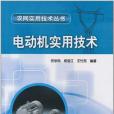 電動機實用技術(2011年中國電力出版的圖書)