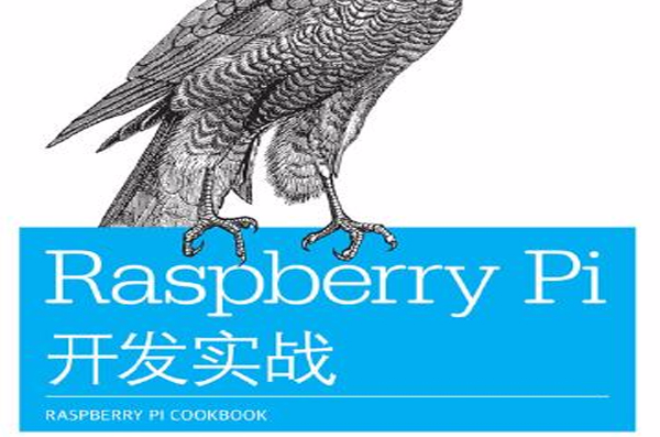 Raspberry Pi開發實戰