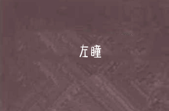 左瞳(網路小說)