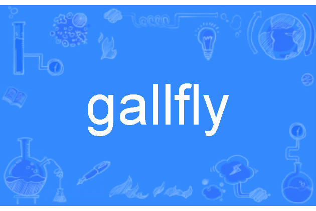 gallfly