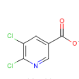 5,6-二氯煙酸