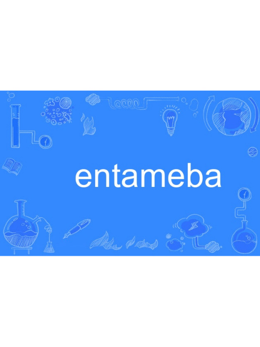 entameba