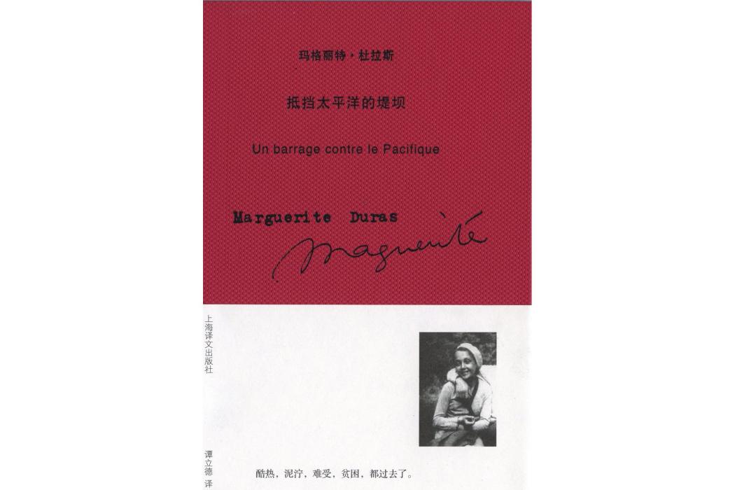 抵擋太平洋的堤壩(2009年上海譯文出版社出版的圖書)