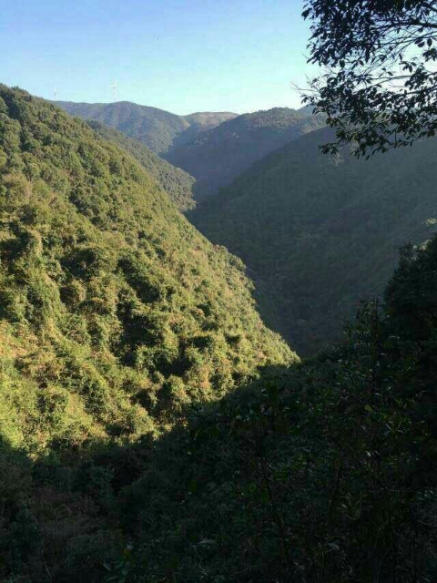 深溪(大賢村深溪)