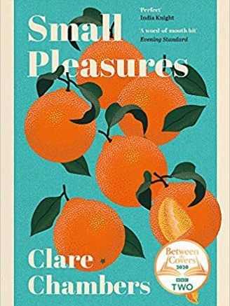 Small Pleasures : Longlisted for the Women\x27s Prize for Fiction 2021