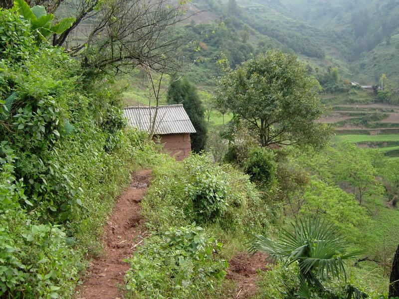 進村路