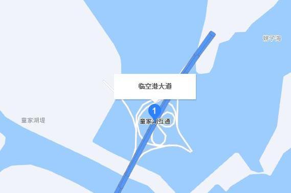 臨空港大道