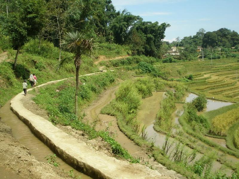 鄉村小路